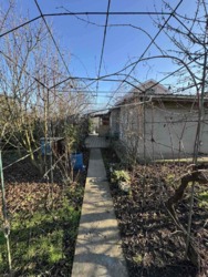 ������ ����������� ��� � �� ����� ��������������� ���� 15