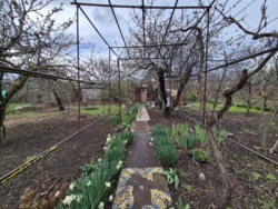 ���� � ��������� ����������� ���� 7