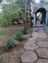 Дача біля Дністровського лиману фото 1 Дача біля Дністровського лиману фото 1