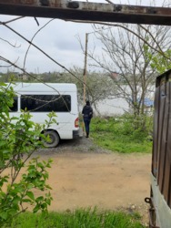 ��� � ����� ���� 31