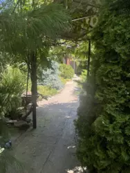     ( )  12