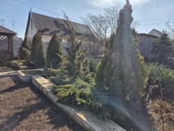 ������ ����������� ��� �� ��� ����� � ��������������� ���� 7