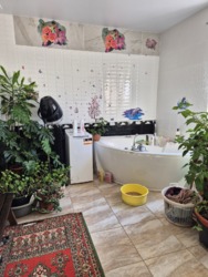 ������ ����������� ��� �� ��� ����� � ��������������� ���� 17