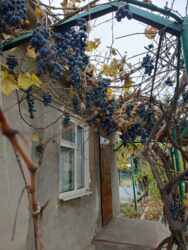 Жилой дом с большим участком земли в пригороде Одессы фото 5 Жилой дом с большим участком земли в пригороде Одессы фото 5