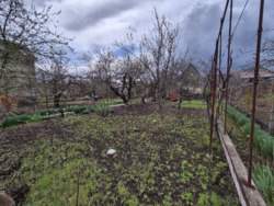 ���� � ��������� ����������� ���� 3