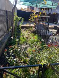 ������ ����������� ��� � �� ����� ���� 26