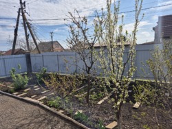 ����������� ��� � �������� ���.��������������� ���� 65