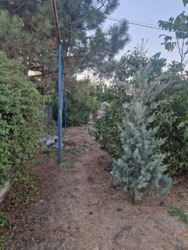 ������ ��� � ��������������� ���� 6