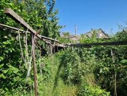 ������ ��� � ��������������� ����� ��� ���� 23