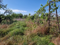 ������ ��� � ��������������� ����� ��� ���� 24