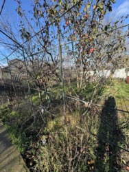 ������ ����������� ��� � �� ����� ��������������� ���� 6