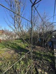 ������ ����������� ��� � �� ����� ��������������� ���� 8