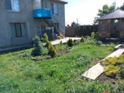 ������ ����������� ��� �� ��� ����� � ��������������� ���� 41