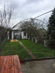 ��� � ����� ������ � 3 ������, ������ � ����! ���� 23