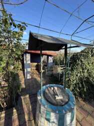 ������ ����������� ��� � �� ����� ��������������� ���� 7