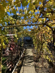 Дом в пригороде Черноморске фото 11 Дом в пригороде Черноморске фото 11