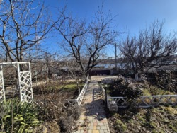 ��� � ����� ���� 51