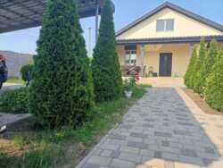 ����� ������������ ��� ���� 63