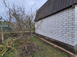 ���� � ��������� ����������� ���� 13