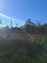 ������ ���� � ��������� ������ ���� 18