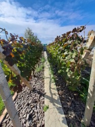 ������ ����������� ��� � ���������� ���� 28