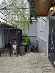 ��� � ����� ���� 5