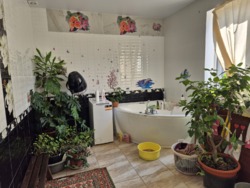 ������ ����������� ��� �� ��� ����� � ��������������� ���� 18