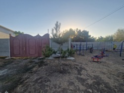 ������ ��� � ��������������� ���� 38