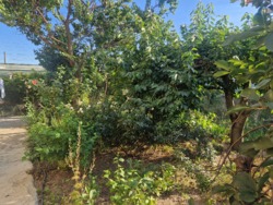 ����������� ��������� ��� � ������������� ���� 31