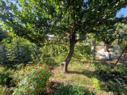 Продам дом в Великодолинском возле озера фото 5 Продам дом в Великодолинском возле озера фото 5