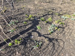 ������ ����������� ��� �� ��� ����� � ��������������� ���� 10