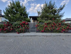 Продам дом дуплекс Одесса Зелёный Гай фото 65 Продам дом дуплекс Одесса Зелёный Гай фото 65