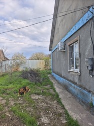 ��� � ������ ���������������� ���� 9