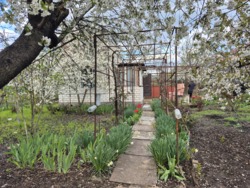 ���� � ��������� ����������� ���� 18