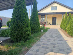 ����� ������������ ��� ���� 53