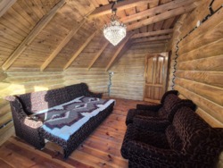 ���-���� ����� ����� ���� 37