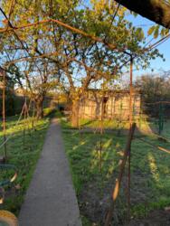 ������ ����������� ��� � �� ����� ���� 41