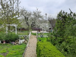 ��� � ����� ���� 9