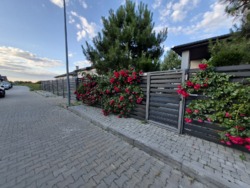 Продам дом дуплекс Одесса Зелёный Гай фото 67 Продам дом дуплекс Одесса Зелёный Гай фото 67