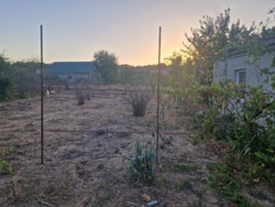 ������ ��� � ��������������� ���� 12