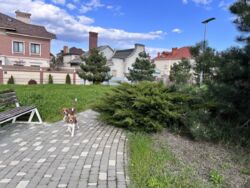 Будинок у Совіньйоні, кооператив «Марін Віллас», фасад на парк