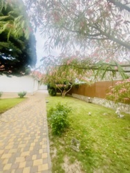 Одноповерховий будинок, Санжейка, ділянка 23 сотки фото 7 Одноповерховий будинок, Санжейка, ділянка 23 сотки фото 7