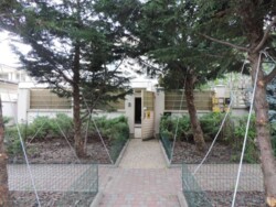 ������� � �������� ���� 2