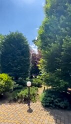 Особняк на 13 ст. Фонтану. Ділянка 15 соток з бассейном. фото 27 Особняк на 13 ст. Фонтану. Ділянка 15 соток з бассейном. фото 27