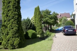 Двоповерховий будинок у Царському селі-1 фото 4 Двоповерховий будинок у Царському селі-1 фото 4