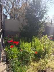 Добротний будинок в Царському Селі-1 з великою ділянкою. фото 5 Добротний будинок в Царському Селі-1 з великою ділянкою. фото 5