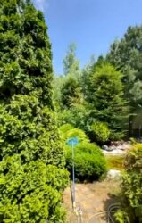 Особняк на 13 ст. Фонтану. Ділянка 15 соток з бассейном. фото 30 Особняк на 13 ст. Фонтану. Ділянка 15 соток з бассейном. фото 30