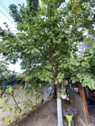 Будинок на 9 сотках землі у Совіньоні 1 фото 36 Будинок на 9 сотках землі у Совіньоні 1 фото 36