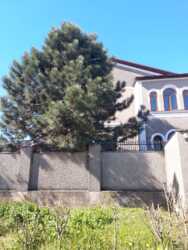 Добротний будинок в Царському Селі-1 з великою ділянкою. фото 1 Добротний будинок в Царському Селі-1 з великою ділянкою. фото 1