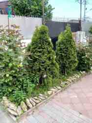 2-���������� ������� �� ���. ������� ����� ���� 13